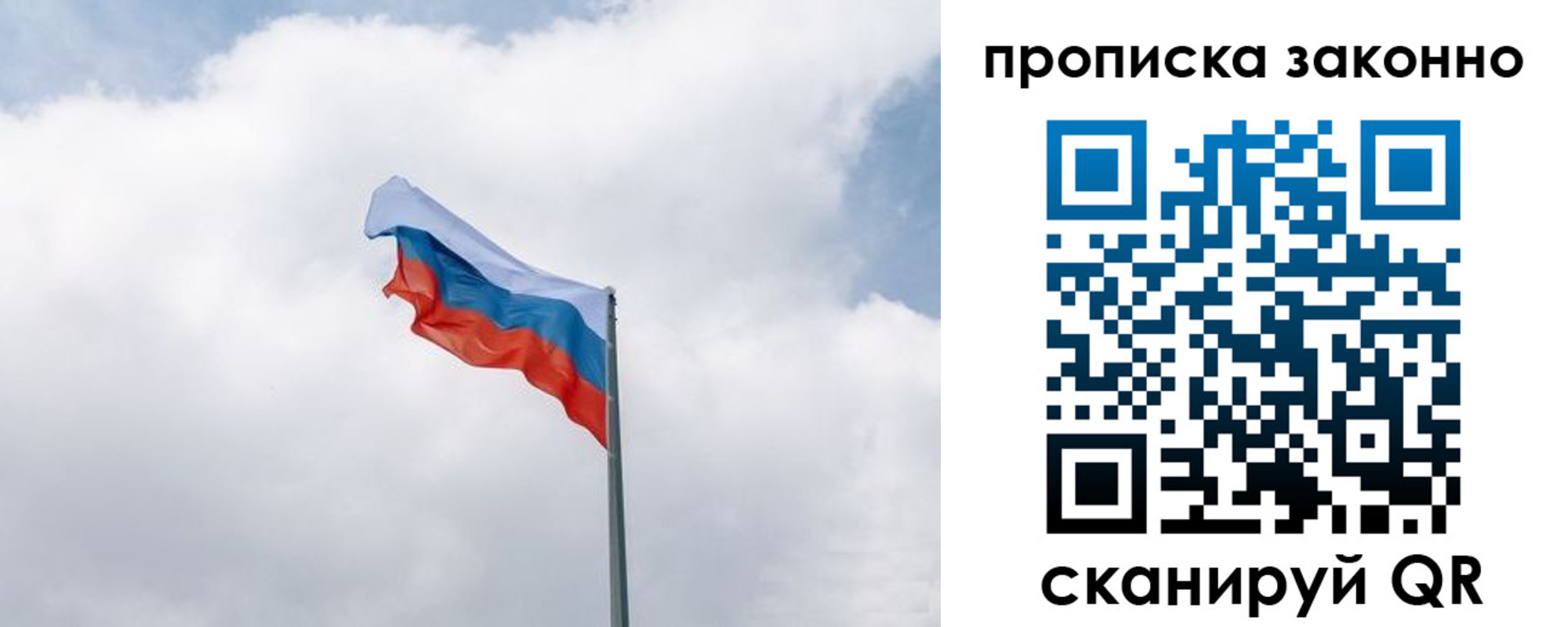 прописка поиск в Домодедово